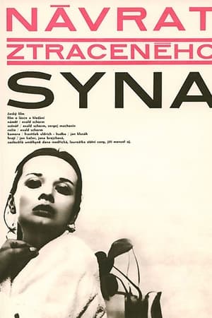 Návrat ztraceného syna