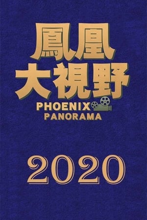 凤凰大视野第17季