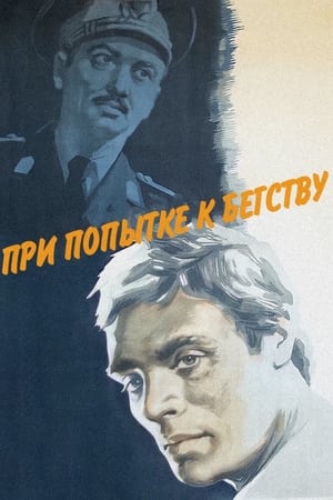 При попытке к бегству