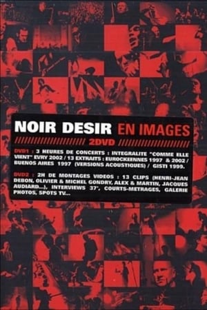 Noir Désir - En images