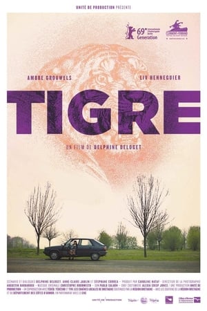 Tigre