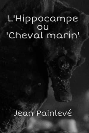 L'Hippocampe, ou 'Cheval marin'