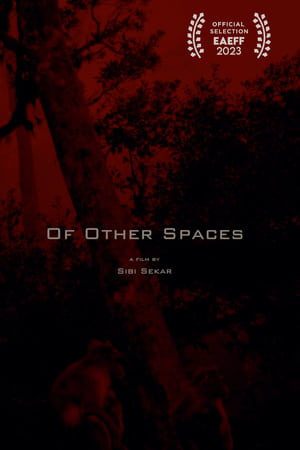 Of Other Spaces