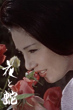 花与蛇