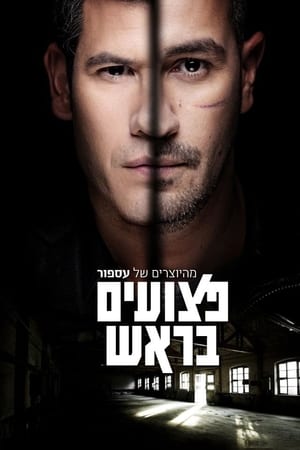פצועים בראש
