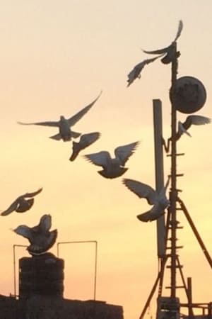 Skywards