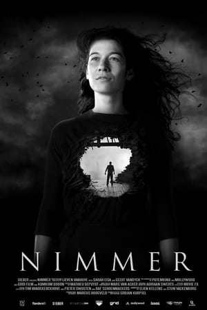 Nimmer