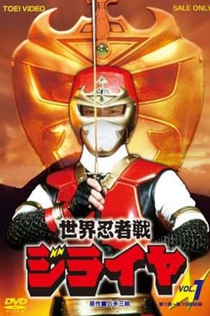 世界忍者战磁雷矢