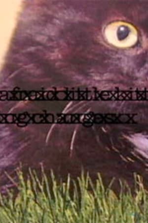 Little Kitten