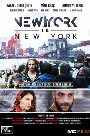 New York in New York