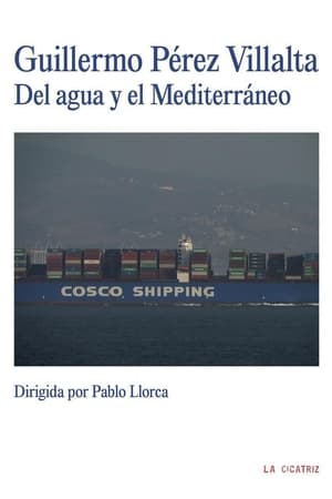 Guillermo Pérez Villalta. Del agua y el Mediterráneo