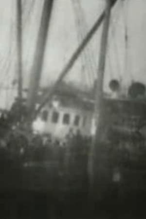 S.S. 'Queen' Loading