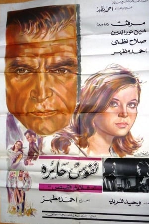 نفوس حائرة
