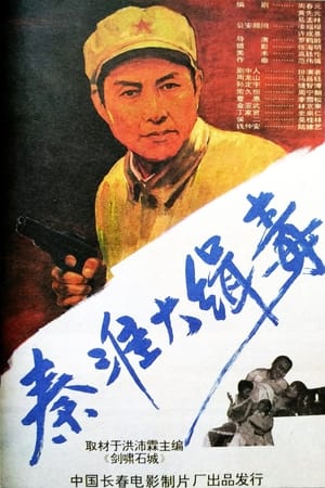 秦淮大缉毒