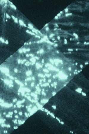 Trampa de Luz