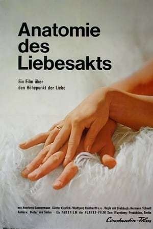 Anatomie des Liebesakts