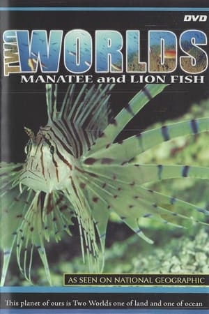 Two Worlds