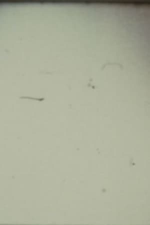 Arabic Numeral Series 13