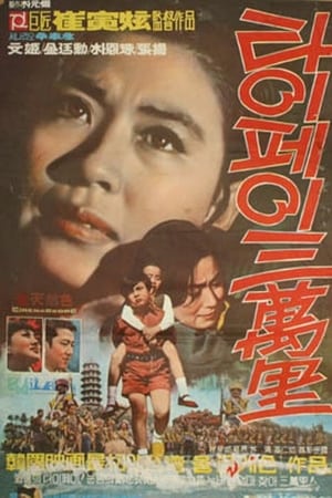 30,000 Leagues in Taipei Looking for Mother