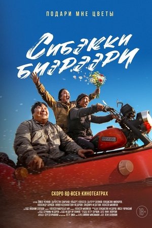 Сибэкки биэрээри