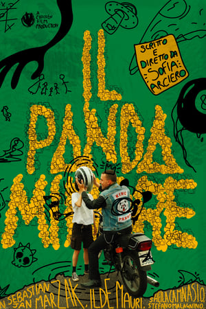 Il Panda Minore