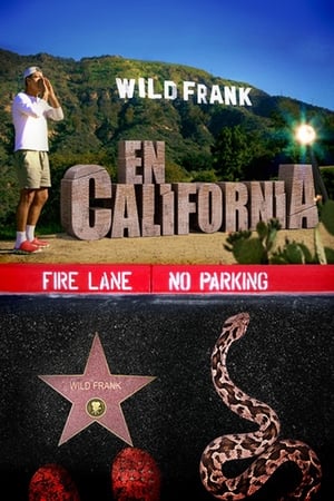 Wild Frank第9季