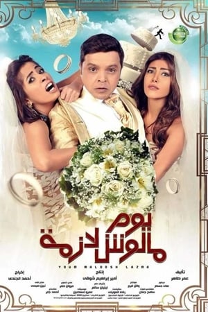 يوم مالوش لازمة