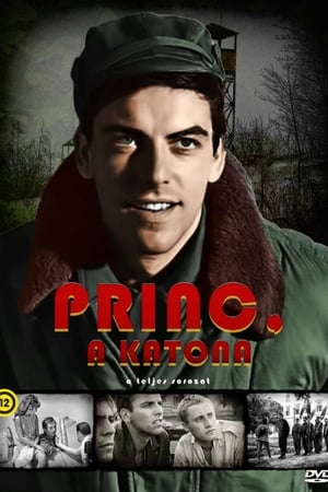 Princ, a katona