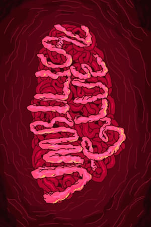 Umbilical Glue