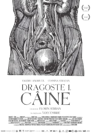 Dragoste 1: Câine