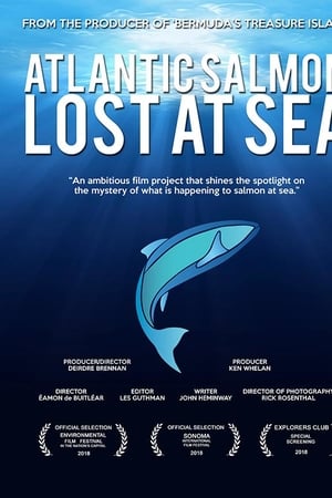 Atlantic Salmon: Lost at Sea