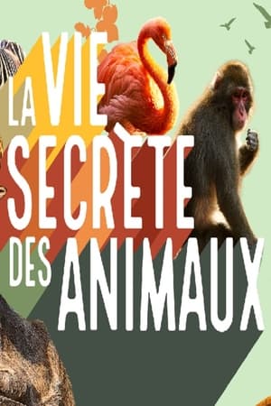 La vie secrète des animaux