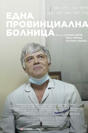 Една провинциална болница