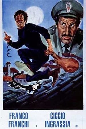 Franco e Ciccio... Ladro e Guardia