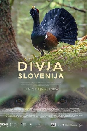 Divja Slovenija