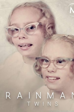 Rainman Twins