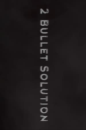 2 Bullet Solution