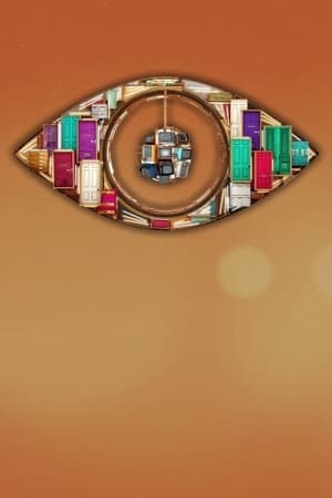 Big Brother第8季