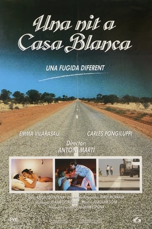 Una nit a Casa Blanca