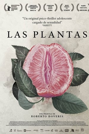 Las plantas