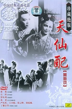 天仙配
