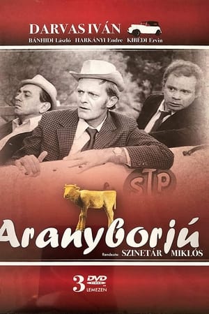 Aranyborjú