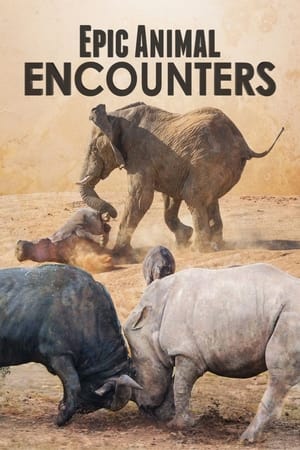 사랑은 이런거야