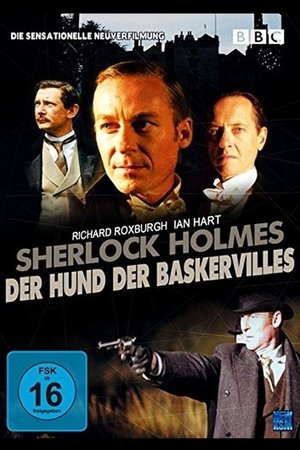 The Hound of the Baskervilles