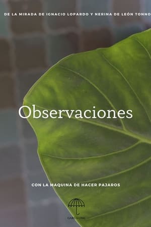 Observaciones