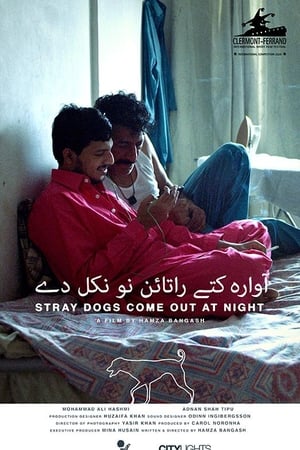 Stray Dogs Come Out at Night