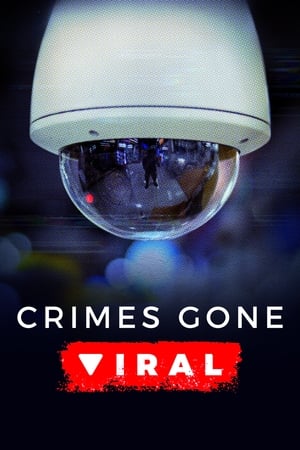 Crimes Gone Viral第2季
