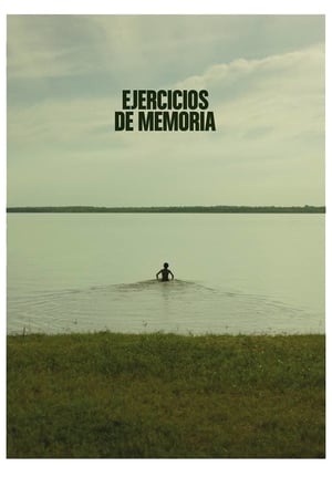 Ejercicios de Memoria