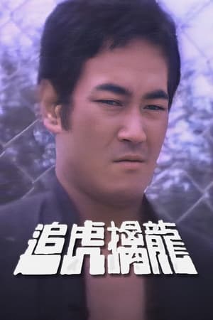 追虎擒龙