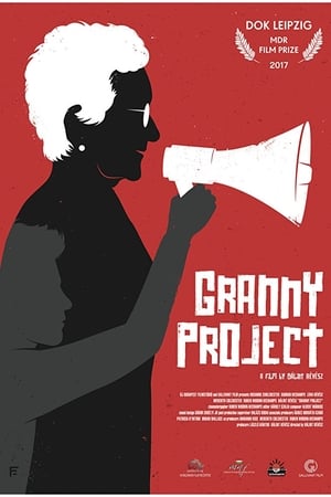 Nagyi projekt